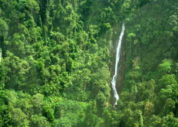 Kijang falls