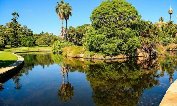 Sydney Royal Botanical